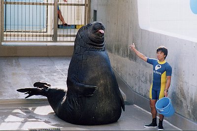 みなぞう君 侍大将まこべえが行く