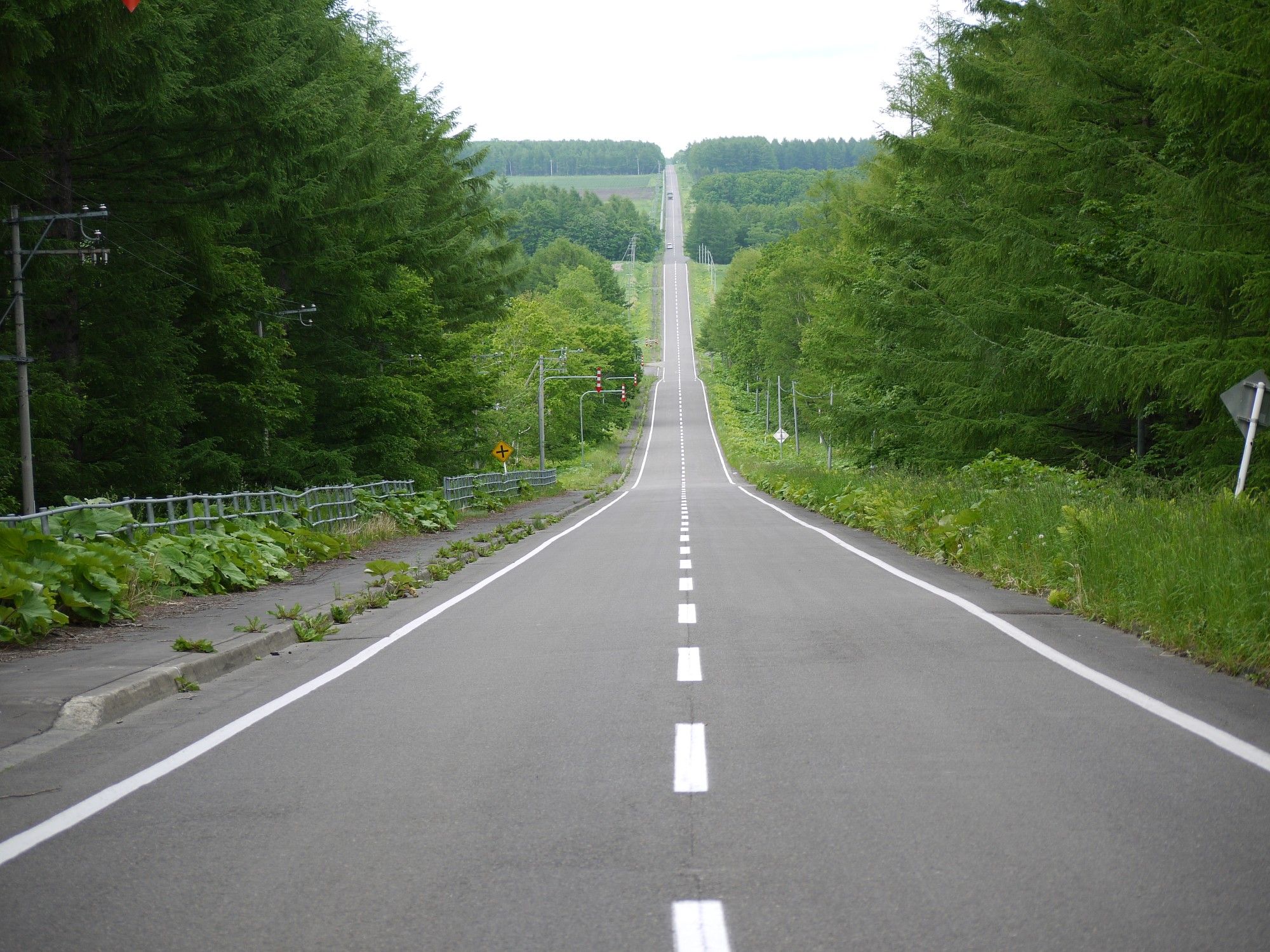 北海道ひとり旅 道東の旅 中標津 ミルクロード 牛乳を運ぶ果てしない直線道路 北海道ひとり旅 憧れの大地へ 旅のブログ 北海道ひとり旅 道東の旅 中標津 ミルクロード 牛乳を運ぶ果てしない直線道路 北海道ひとり旅 憧れの大地へ 旅のブログ