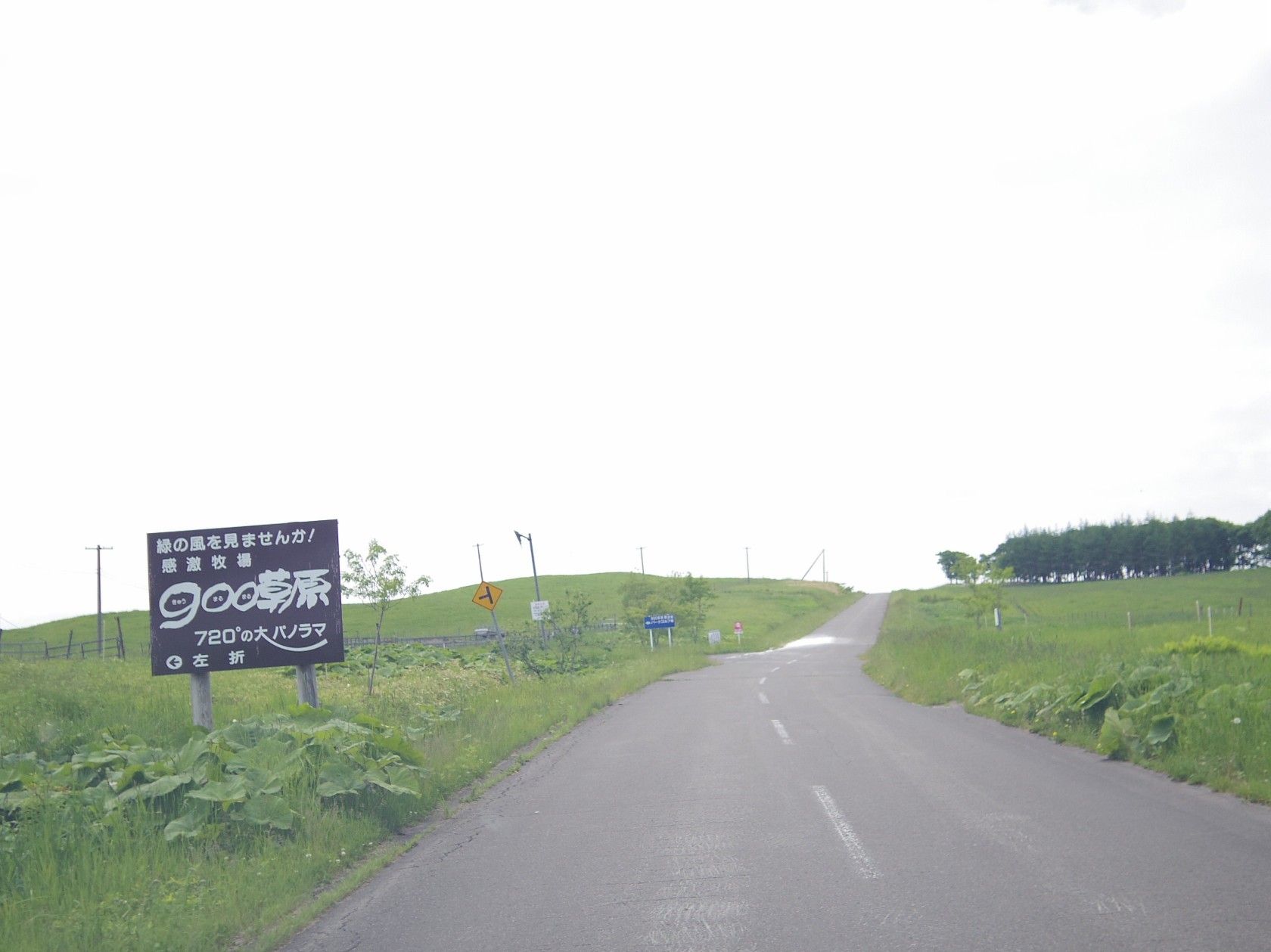 北海道ひとり旅 道東の旅 弟子屈町 900草原 緑に埋め尽くされた草原の中の展望台 北海道ひとり旅 憧れの大地へ 旅のブログ