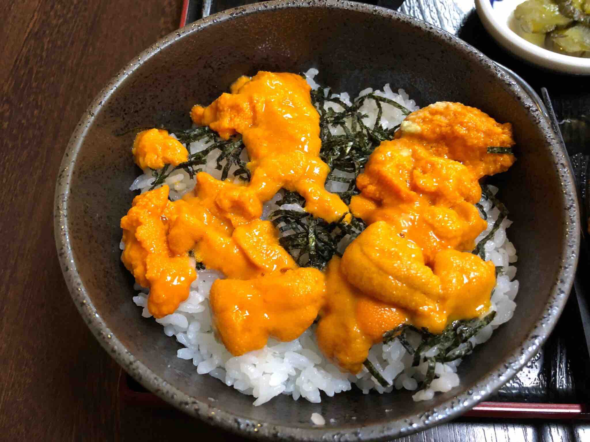 北海道ひとり旅 小平町鬼鹿 すみれ ウニを食べるなら早い時間に 北海道ひとり旅 憧れの大地へ 旅のブログ