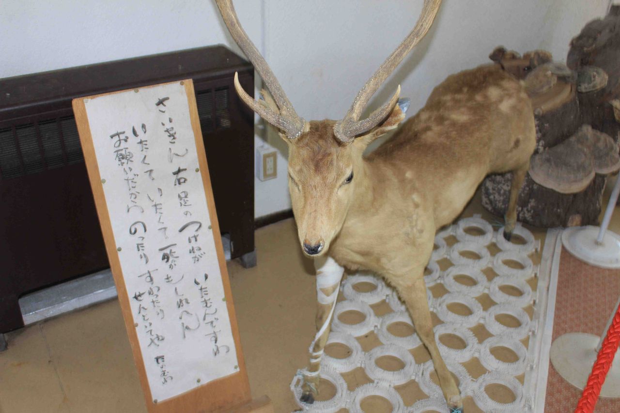 20120129御在所岳 樹氷 Yumeoi Photonism