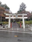 大原野03
