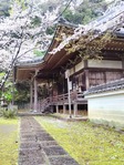 勝持寺06