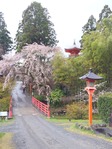 正法寺00