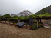 善峯寺11