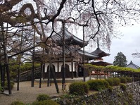善峯寺07