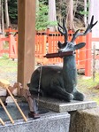 大原野04
