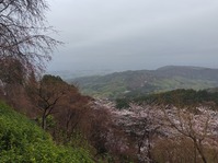 善峯寺16
