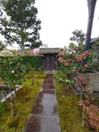 正法寺10