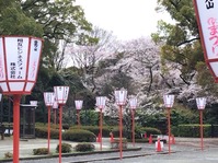 石清水06