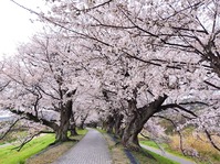 淀川6