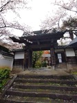 勝持寺01