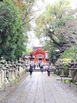 石清水14