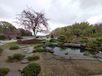正法寺02
