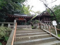 石清水10