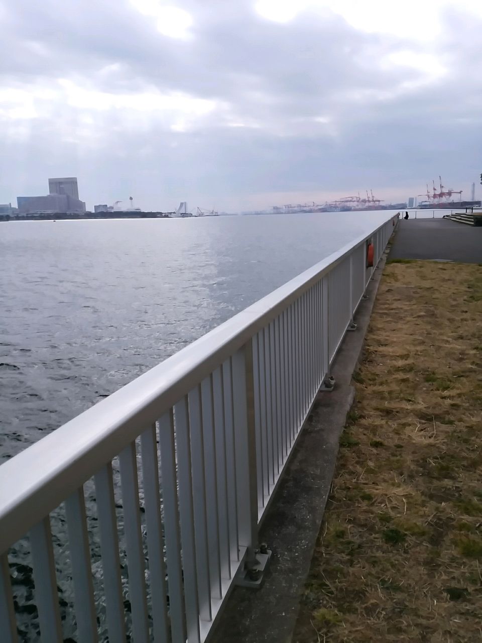 釣り へち釣りニャー軍団との闘い 釣り へち釣りニャー軍団との闘い