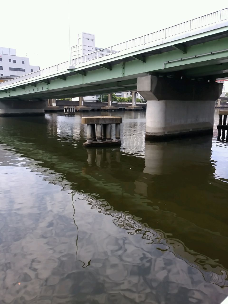 16年05月 へち釣りニャー軍団との闘い