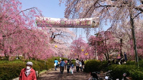 hanami