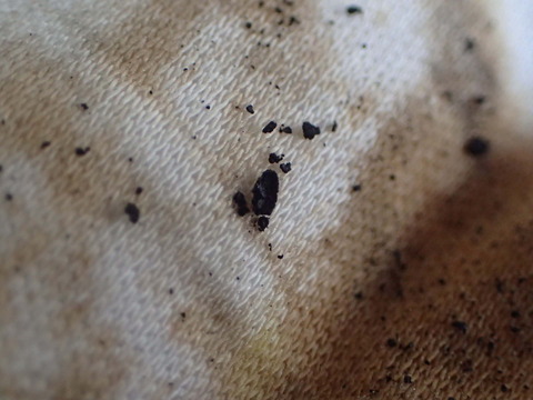 P6030123