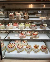 254BF88D-DD30-4704-92B9-A66FD84C60C3