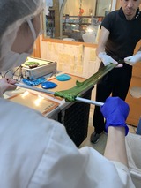 64552392-A5F8-48B7-BAC8-54CBE3338DED