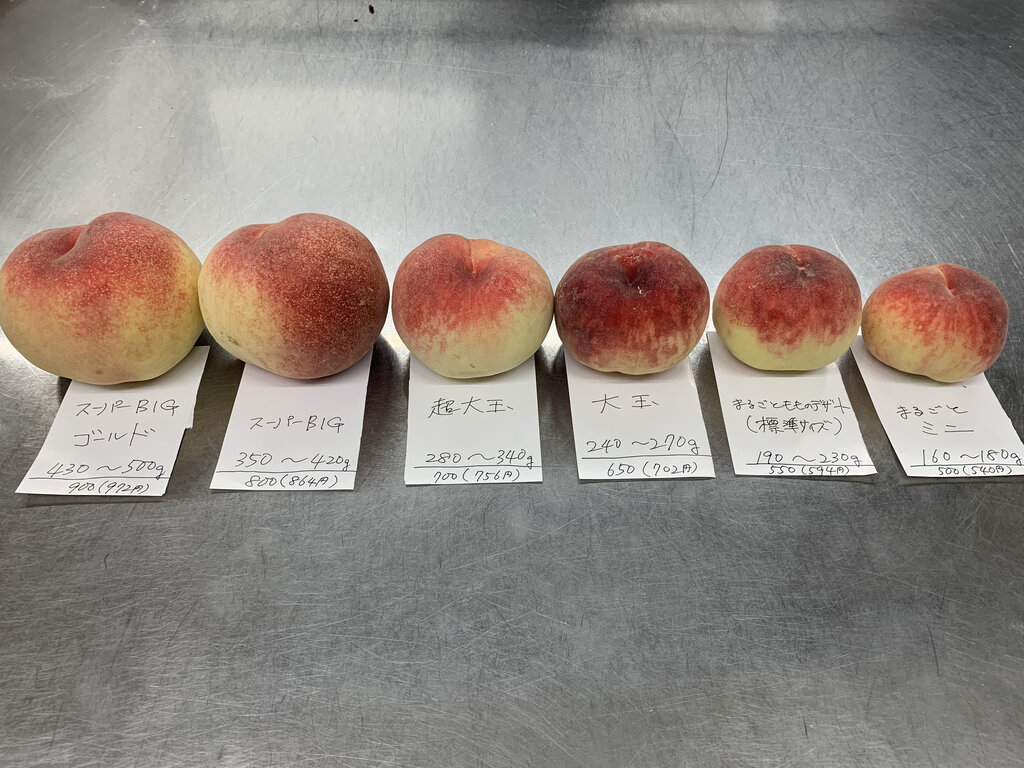 アンプリュース Blog まるごと桃スーパーbigサイズ アンプリュース Blog まるごと桃スーパーbigサイズ