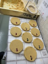 26766F84-A72D-4D88-968E-49083B174E9F