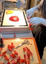 B2B50777-F53B-4C11-ACD1-6EA2C13EA3CC