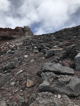 IMG_1785