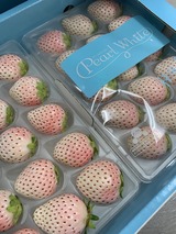 FB10E3FB-7595-4888-BEEE-01A2D737B071