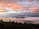 IMG_1811