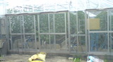 f26e6e80.jpg