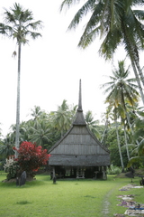 769f1f10.JPG