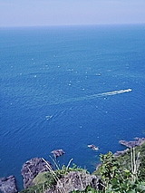 56e54550.jpg