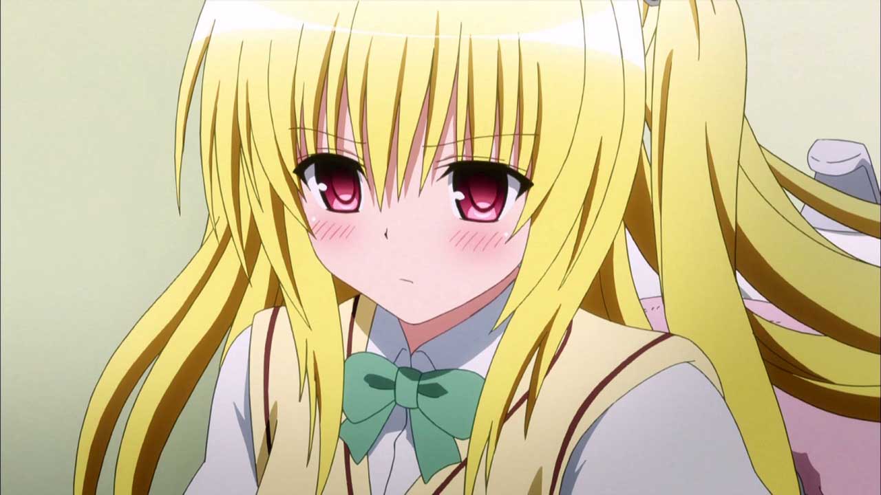 金髪 化物語でもうお腹いっぱいだ ロリぺったん ダチョウと７と象
