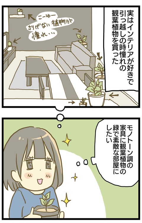 E11331D1-849D-4140-826D-BA44684EEA5F