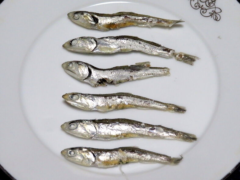 大きい煮干し 5218 埼玉考現学