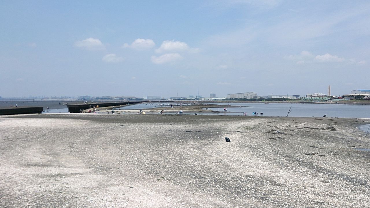 貝殻島で貝獲り その2 3 だらりーまん船長日誌