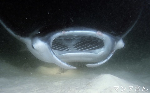 6E10FCBA-CB2F-4DC6-9A3B-49A3F60DAAF8