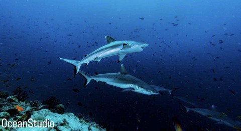 7CD85E6D-D869-4AAE-8BA8-CCCFFADA0CBE