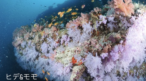 48A62830-97D7-412E-9E6C-F7CFFAC4D02B