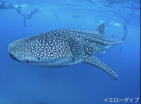 48B16AAD-B062-43D4-B6B2-DB45625D306E