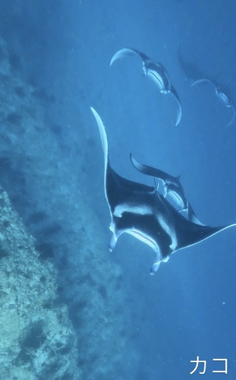 9B41F71F-52B1-4E35-9E5C-57CF370FDA79