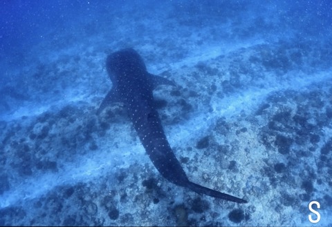 33BD30A1-80E8-476E-BC9C-BA4FA5FB5417