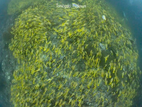 376766829_6583274755100114_4934453891862599233_n