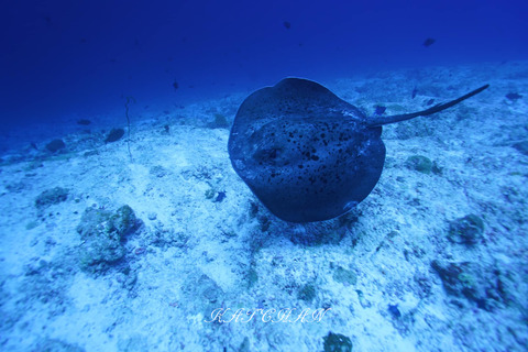 406405915_6917943524966567_7887416518185007000_n