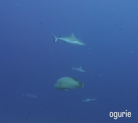 CE184A6A-B9C5-4BA3-9A83-01C8868DFBB0