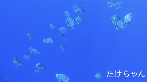 8383AC62-38E1-4AF5-99D3-0C821C7EE61B