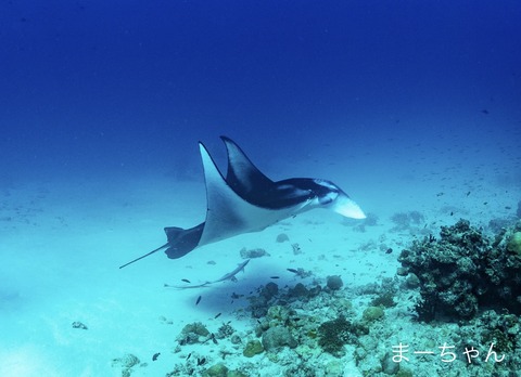 750591D4-812E-4E4B-8961-236BA1F0879D