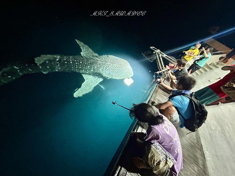 410659421_10161062271076684_8670550578005355458_n